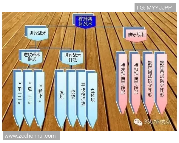 武汉排球队的战术风格与赛季表现深度分析 武汉排球队的战术风格与赛季表现深度分析