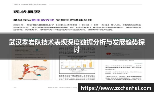 武汉攀岩队技术表现深度数据分析与发展趋势探讨