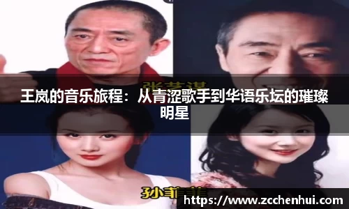 王岚的音乐旅程：从青涩歌手到华语乐坛的璀璨明星