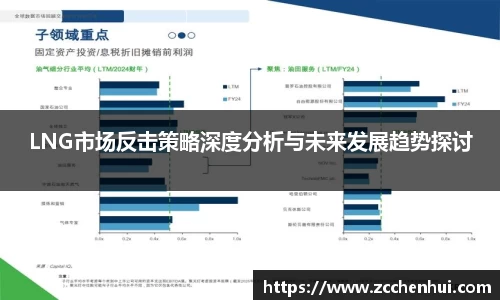 LNG市场反击策略深度分析与未来发展趋势探讨